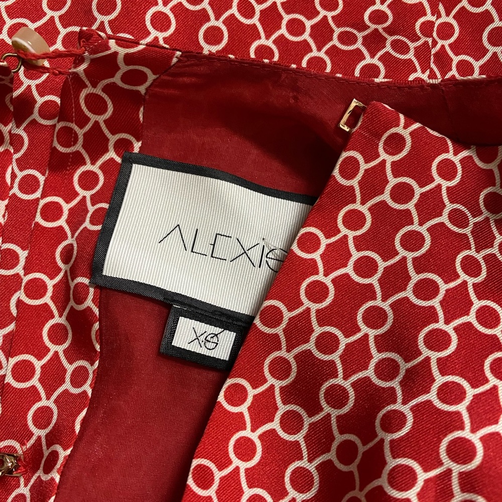 Alexis Coretti Mini Dress in Rouge Rolo Size XS - Picture 8 of 11